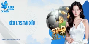 kèo 1.75 tài xỉu