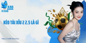 kèo tài xỉu 2 2.5 là gì