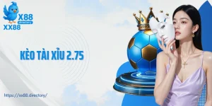 kèo tài xỉu 2.75